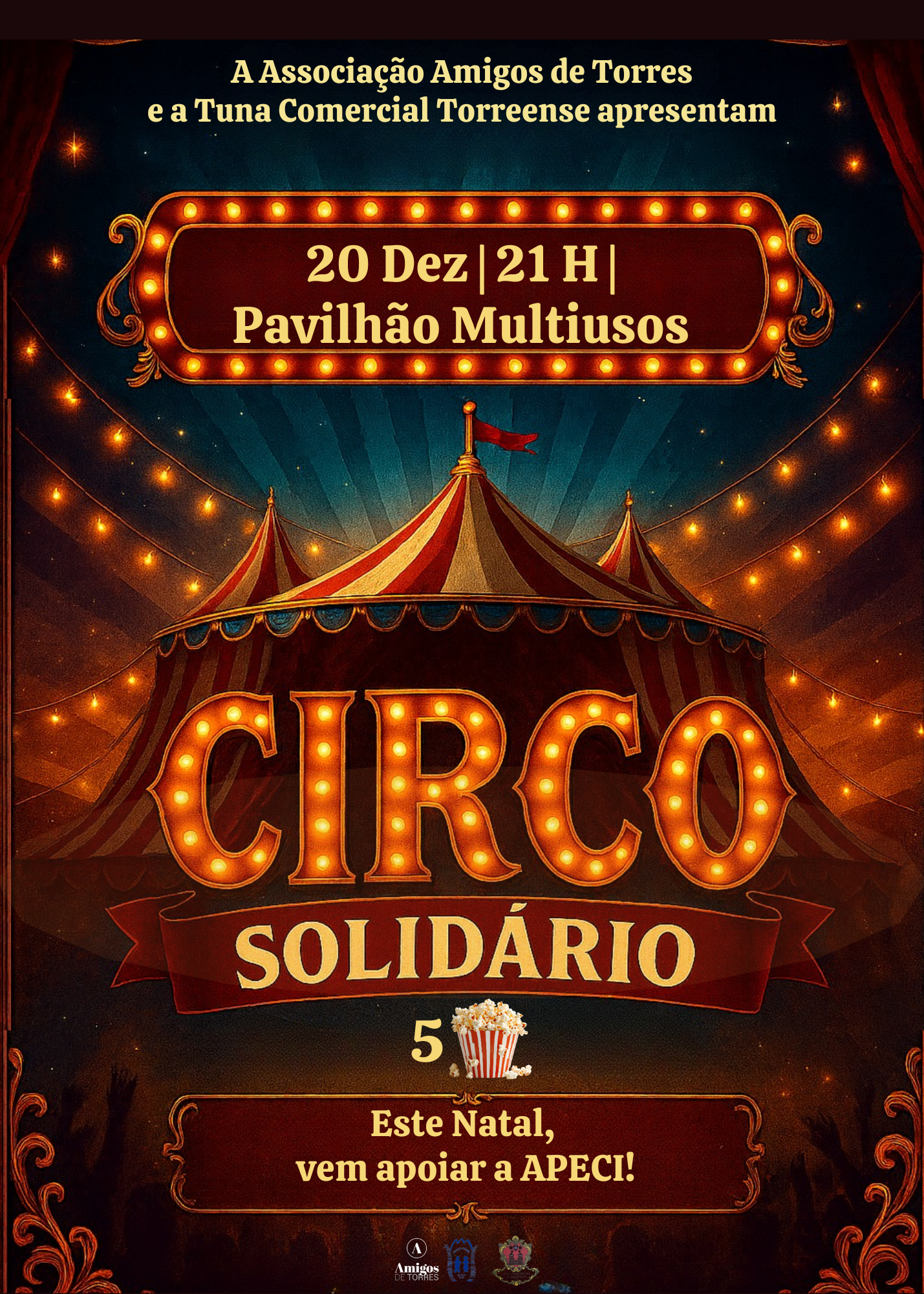 Circo Solidário