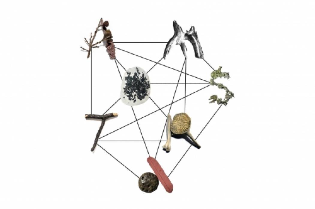 Apresentação do Catálogo da exposição “AMOSTRA”