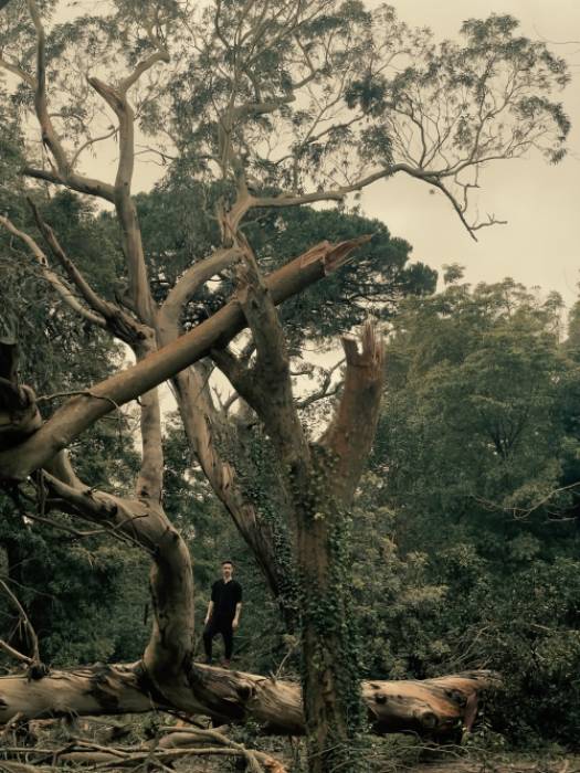 Até ao fim do mundo 