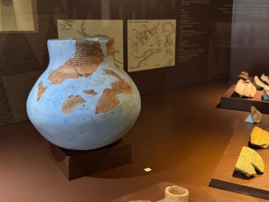 Dia dos Avós no Museu