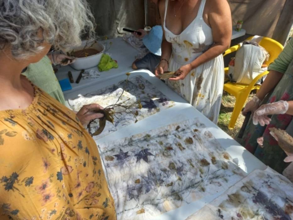 Primavera: Renascimento e novas possibilidades 