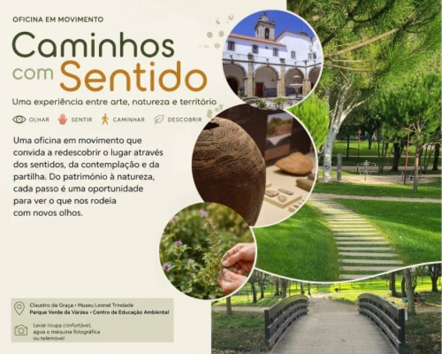 Caminhos com Sentido 