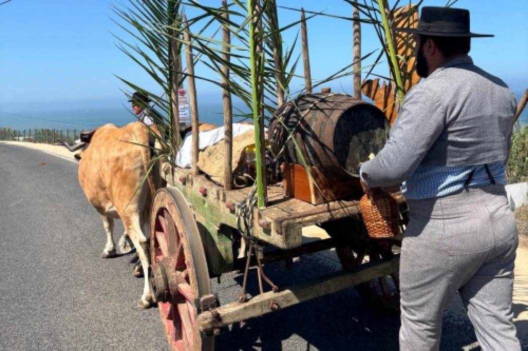 Um Mar de Sons | Rancho Folclórico e Etnográfico Danças e Cantares Furadouro