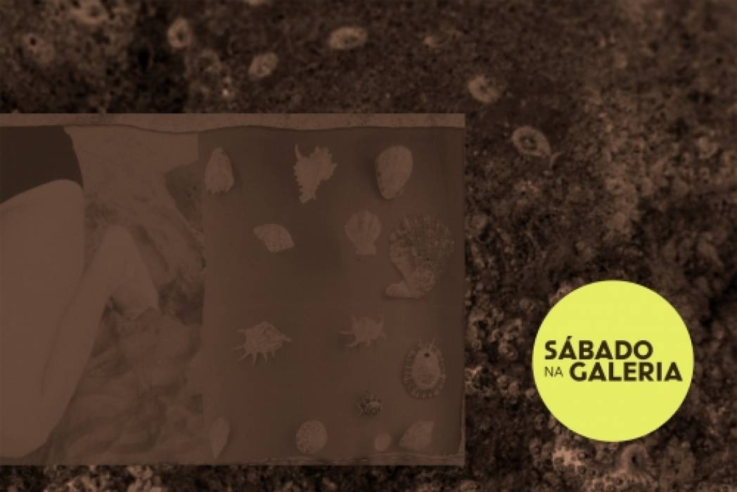 Sábado Na Galeria | Terra-Fogo-Ar-Água