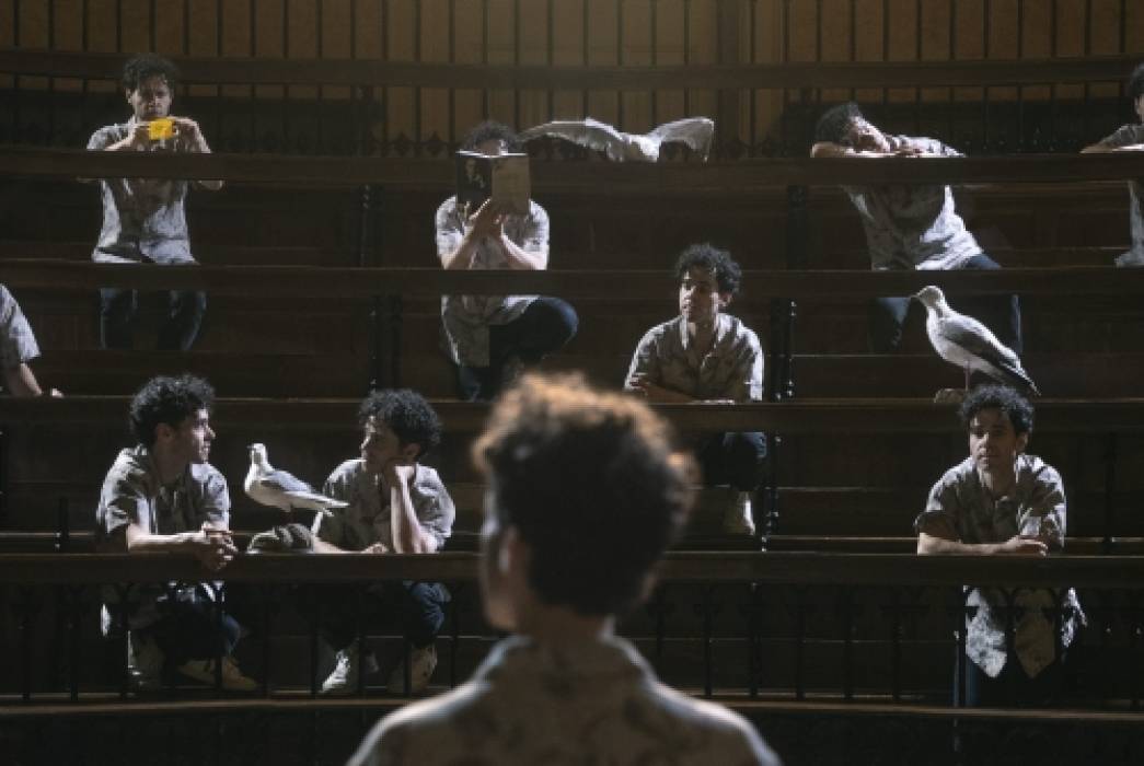 Só Mais Uma Gaivota