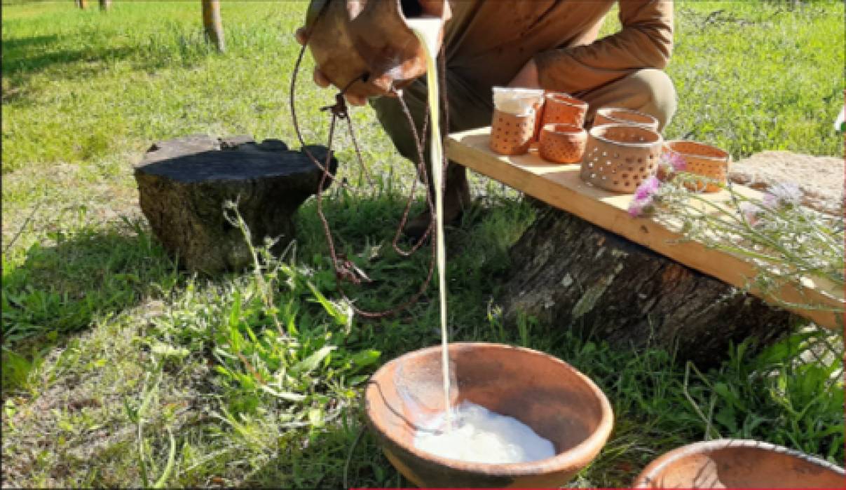 Workshop de Produção de Queijos 