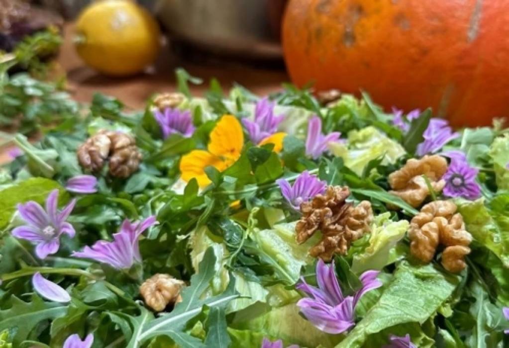  Workshop | Cozinha Pré-Histórica